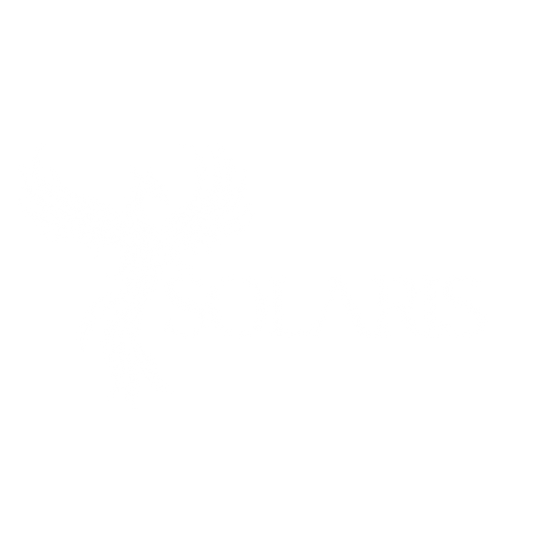 Logo superior